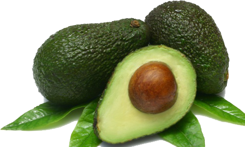 AVOCADO