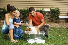 Bathing_Dog_1.jpg