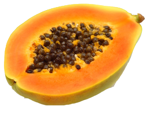 PAPAYA