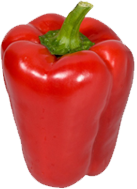 PEPPER
