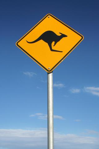 Sydney.jpg
