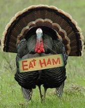Eat something else on Thanksgiving!