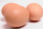 eggs1.jpg